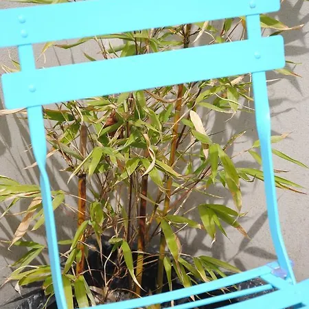 アパート Glueck Auf Im Pott *