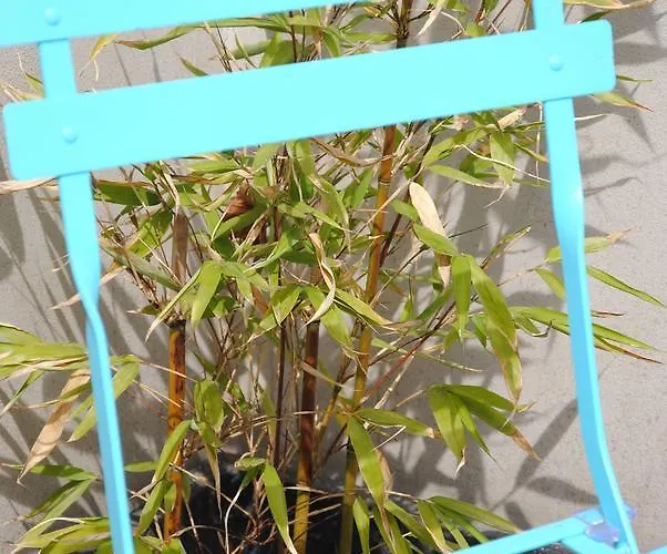 شقة Glueck Auf Im Pott *